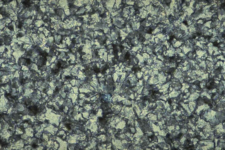 Prismatoolithus section tangentielle lumpolbis.jpg (134338 octets)