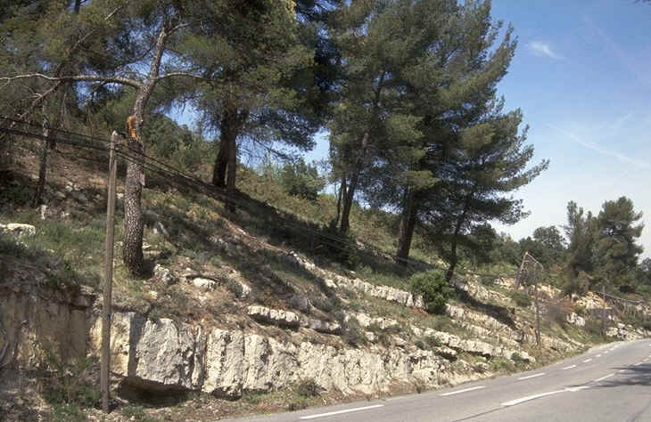 RN96 stratotype Begudien auteur : Ph.Kerourio , reproduction interdite.jpg (122171 octets)