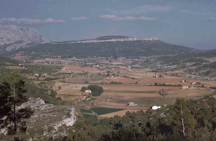 Vue Le Cengle et la montagne Sainte-Victoire auteur : Ph.Kerourio.jpg (80895 octets)