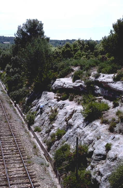 coupe r�gion Pourcieux var voie ferr�e.jpg (118514 octets)