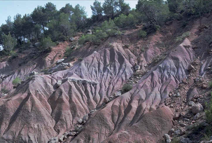 gisement dinosaures bassin Aix, rgion de Puyloubier , Bouches-du-Rhne , Rognacien suprieur , auteur de la photographie : Ph.Kerourio , reproduction interdite .jpg (119098 octets)