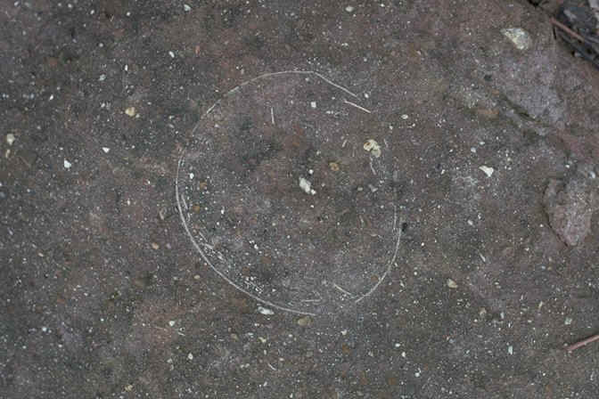 oeuf dinosaure en coupe Saint Chinian Campanien de l'H�rault , auteur : pH.Kerourio , reproduction interdite.jpg (111568 octets)