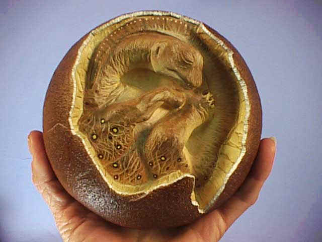 sauropod1z oeuf reconstitu�.jpg (33790 octets)