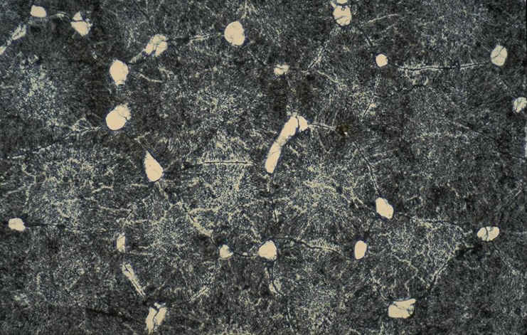 section tangentielle oeuf dinosaure Rognacien moyen de Rousset-sur-Arc ( Bouches-du-Rh�ne ),auteur : Kerourio , reproduction interdite.jpg (140444 octets)