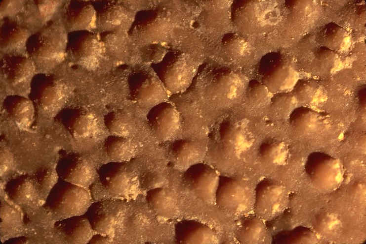 surface oeuf de Dinosaure.jpg (95187 octets)