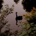 My best photo ever