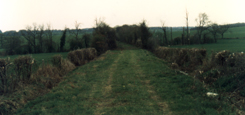 The abandoned and ripped-up line