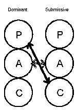 Dominant - submissive model