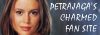 Petrajaga