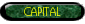 The Capital programme