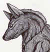 AureusHead.jpg (130113 bytes)