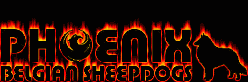 burninglogo.GIF - 216187 Bytes