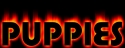 buttonpuppies.jpg - 6566 Bytes