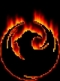 firebird.jpg - 5378 Bytes
