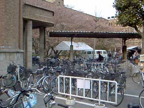 Co-op