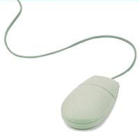mouse
