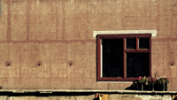 Manipulated in Photoshop
