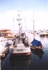 Lovely reflections in the water of two companion boats.