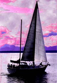 Saiboat in the sunset