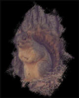 Squirrel sitting upright under a tree