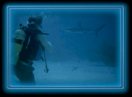A student diver watching a shark swim around in the background.