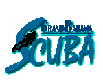 grand bahamas scuba graphic