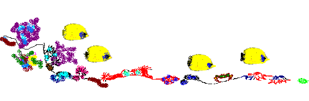 colorful fish and reef graphic