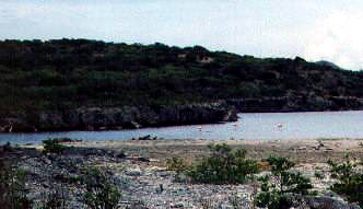 A lake in the distance with Pink Flamingos bathing