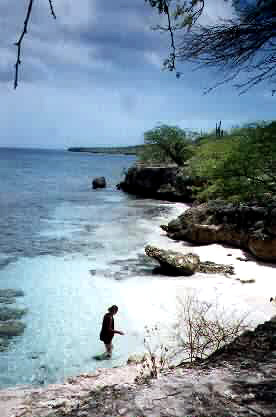 Picture taken from a small cliff down towards the water and beach with Mike walking around in the shallow water