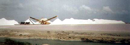 Huge piles of Salt in the distance
