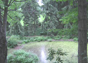 Mount Auburn Cemetery1
