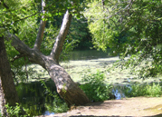 charlesriver1