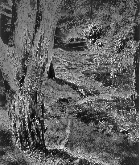 Sabattier of Rock Stream