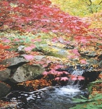 Liquid Beauty