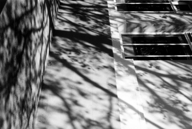 Shadows & Reflections