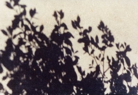Shadows& Reflections