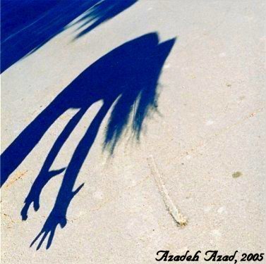 Shadows& Reflections