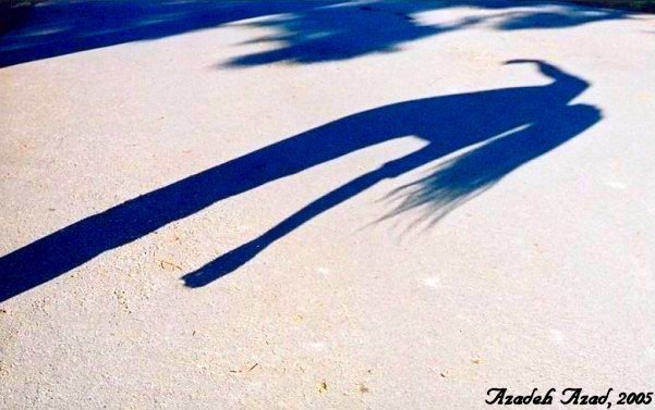 Shadows& Reflections