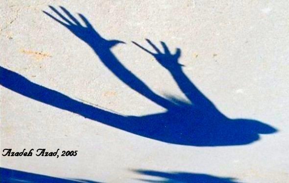 Shadows& Reflections