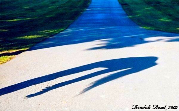 Shadows& Reflections