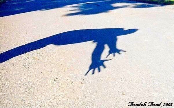 Shadows& Reflections