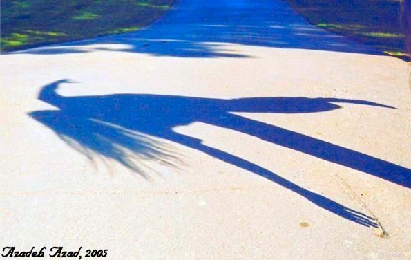 Shadows& Reflections