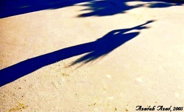 Shadows& Reflections