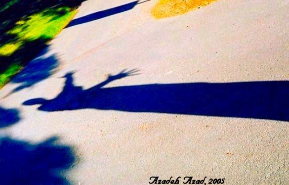 Shadows& Reflections