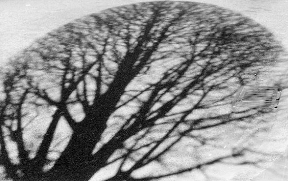 Shadows& Reflections