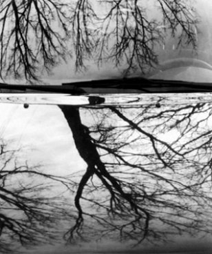 Shadows & Reflections