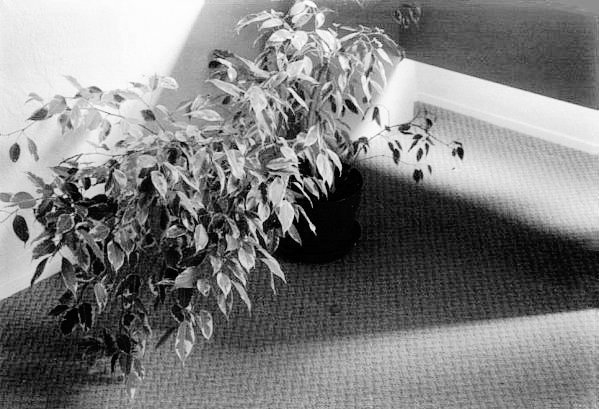 Shadows & Reflections