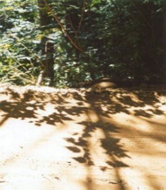 Shadows & Reflections