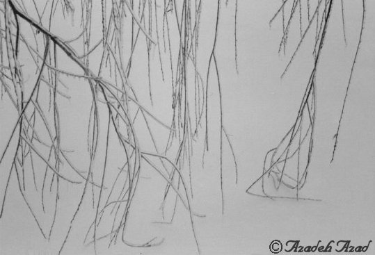 The Magic of Trees