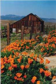 Munz_Ranch_Barn